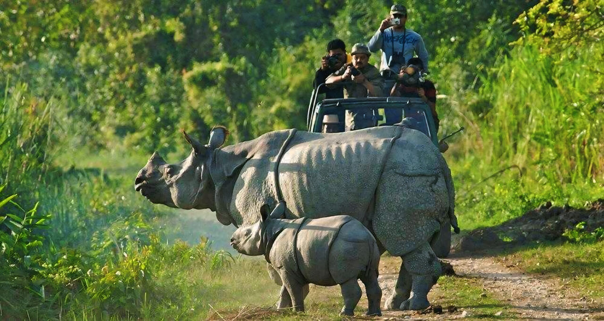 Jeep Safari